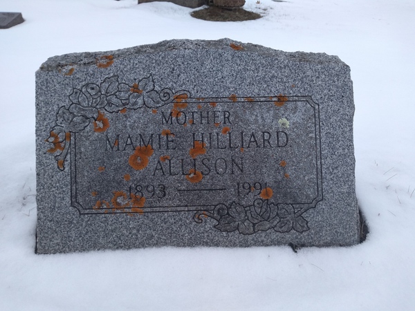 headstone image