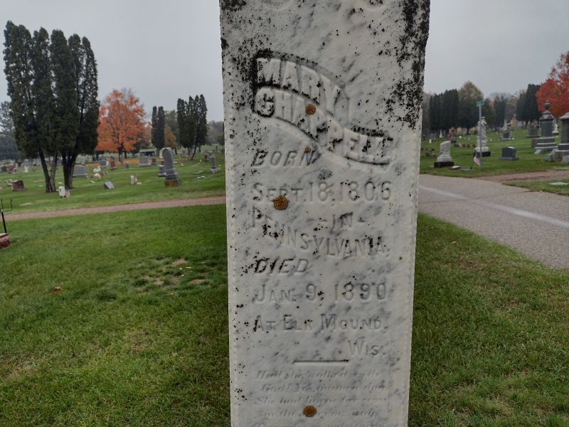 headstone image