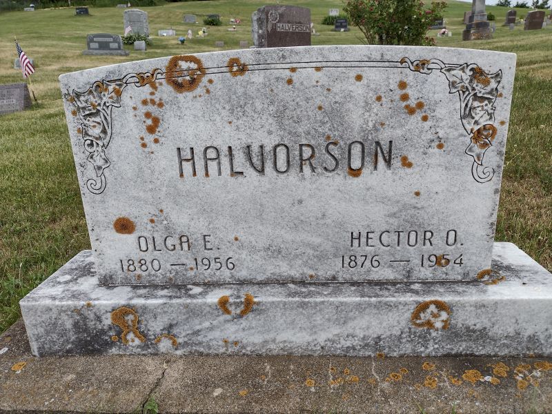 headstone image
