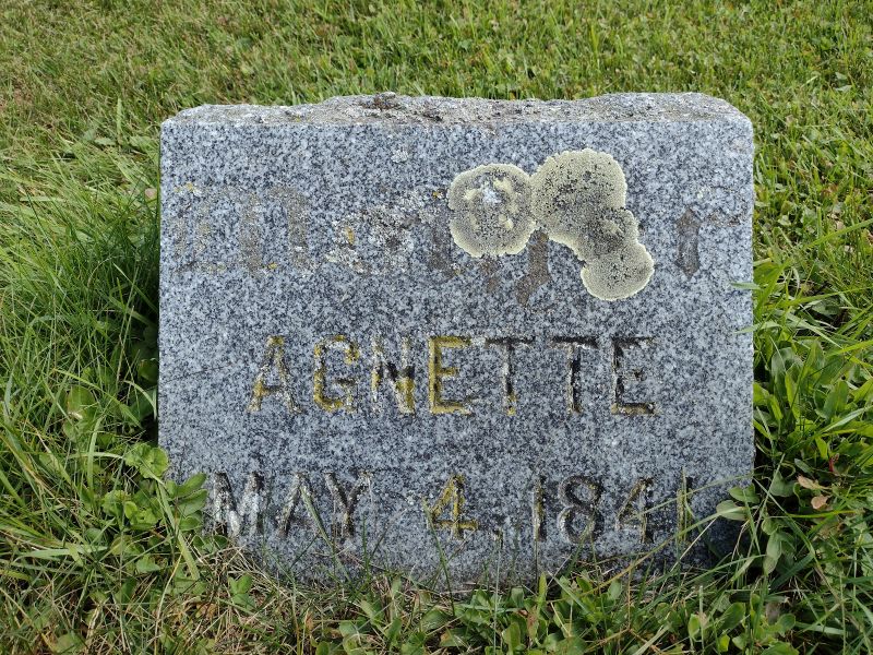 headstone image