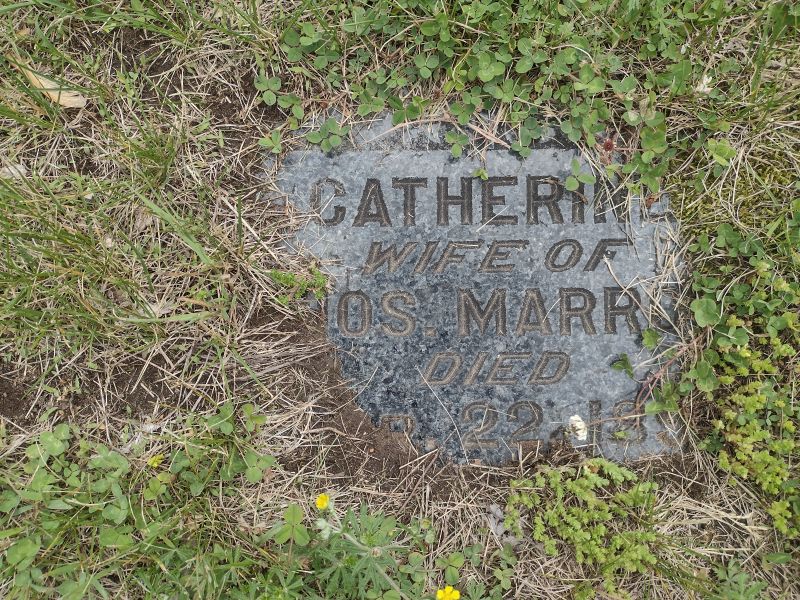 headstone image