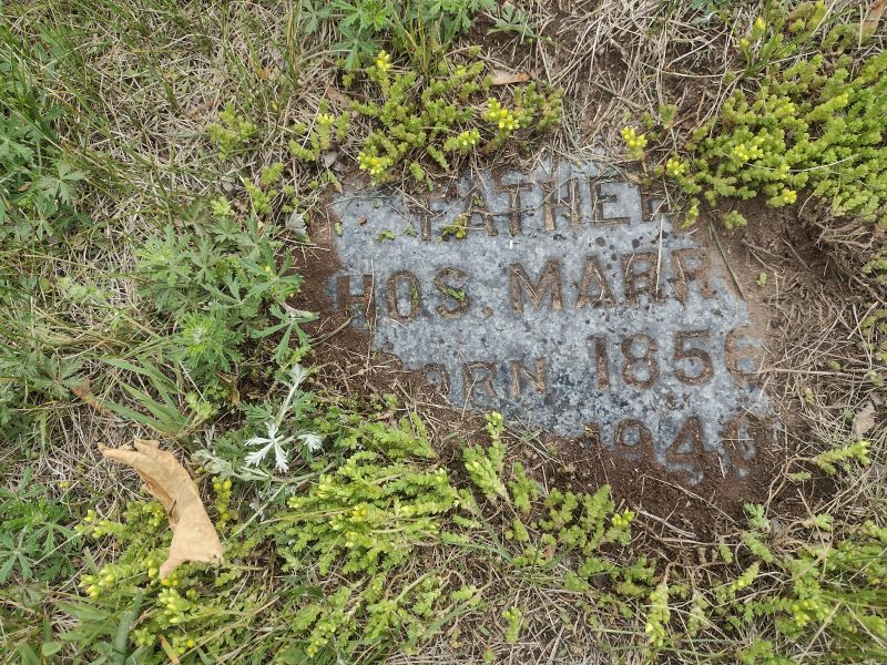 headstone image