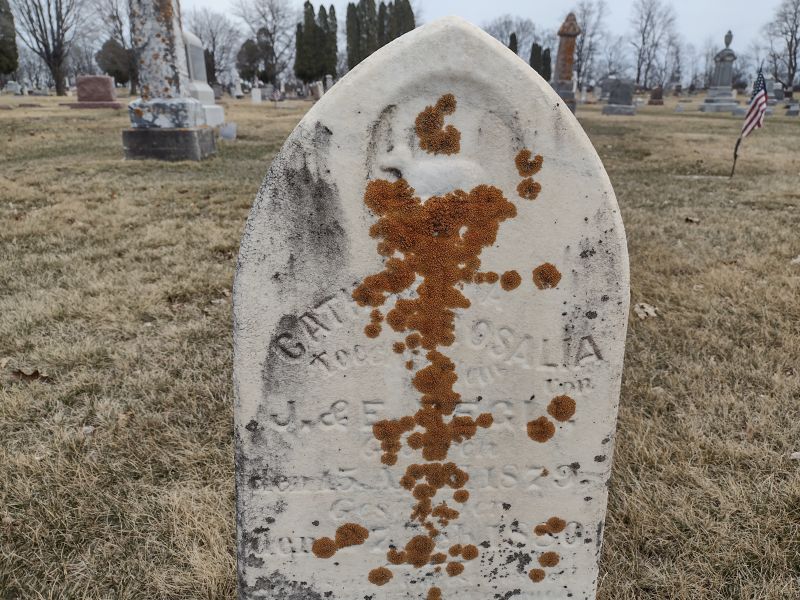 headstone image