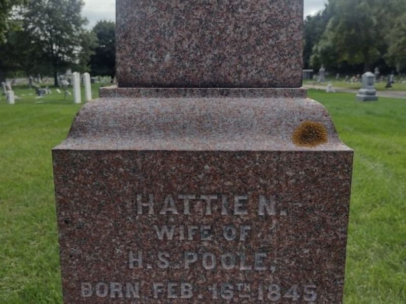 headstone image