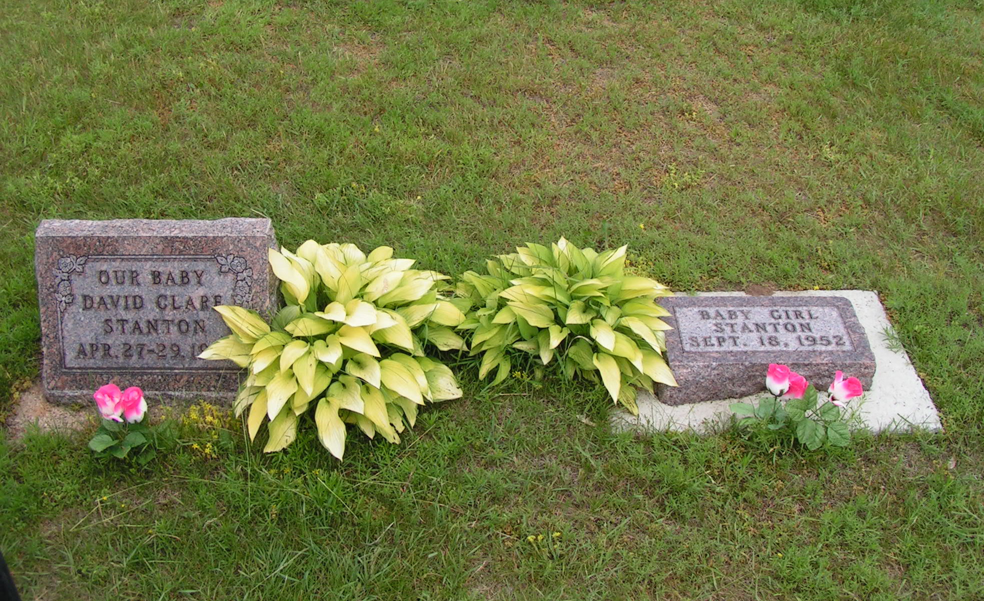 headstone image