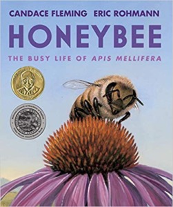 honeybee