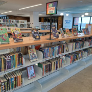 Juv New Titles