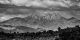 "La Sal Mountains Moab UT View" - Hubert Cole
