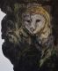 "Nocturne" - Jessica Pautsch