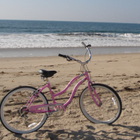Cruiser – Cruise around the beach or around town in with a sturdy, smooth ride and in style!