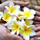 holding flowers in hand
