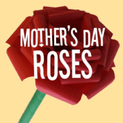 Mothers Day Roses