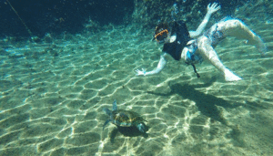 Underwater photo taken with GoPro camera.