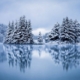 Lake in winter