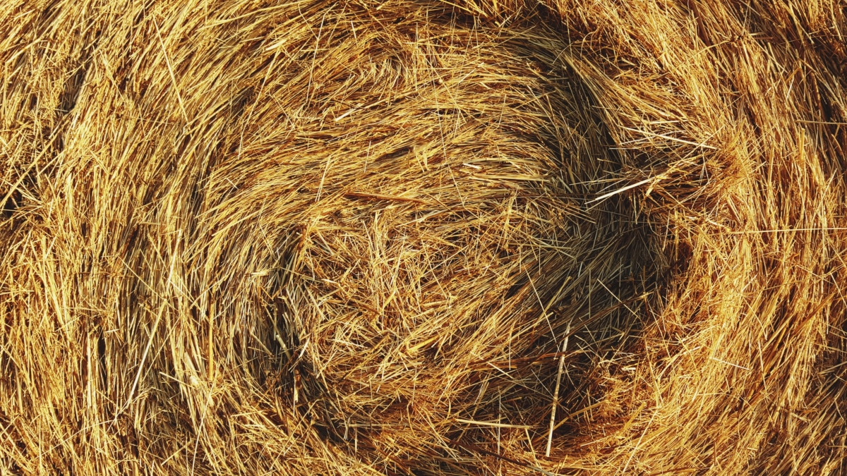 Photograph of a haystack