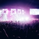 Image of a crowd at a local rock music festival