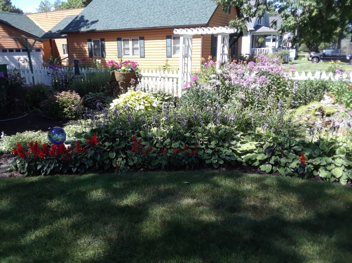 Photograph of Author's Garden