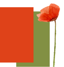 Voice of the First World War