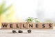 Blocks spelling wellness