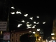 Books flying in the street