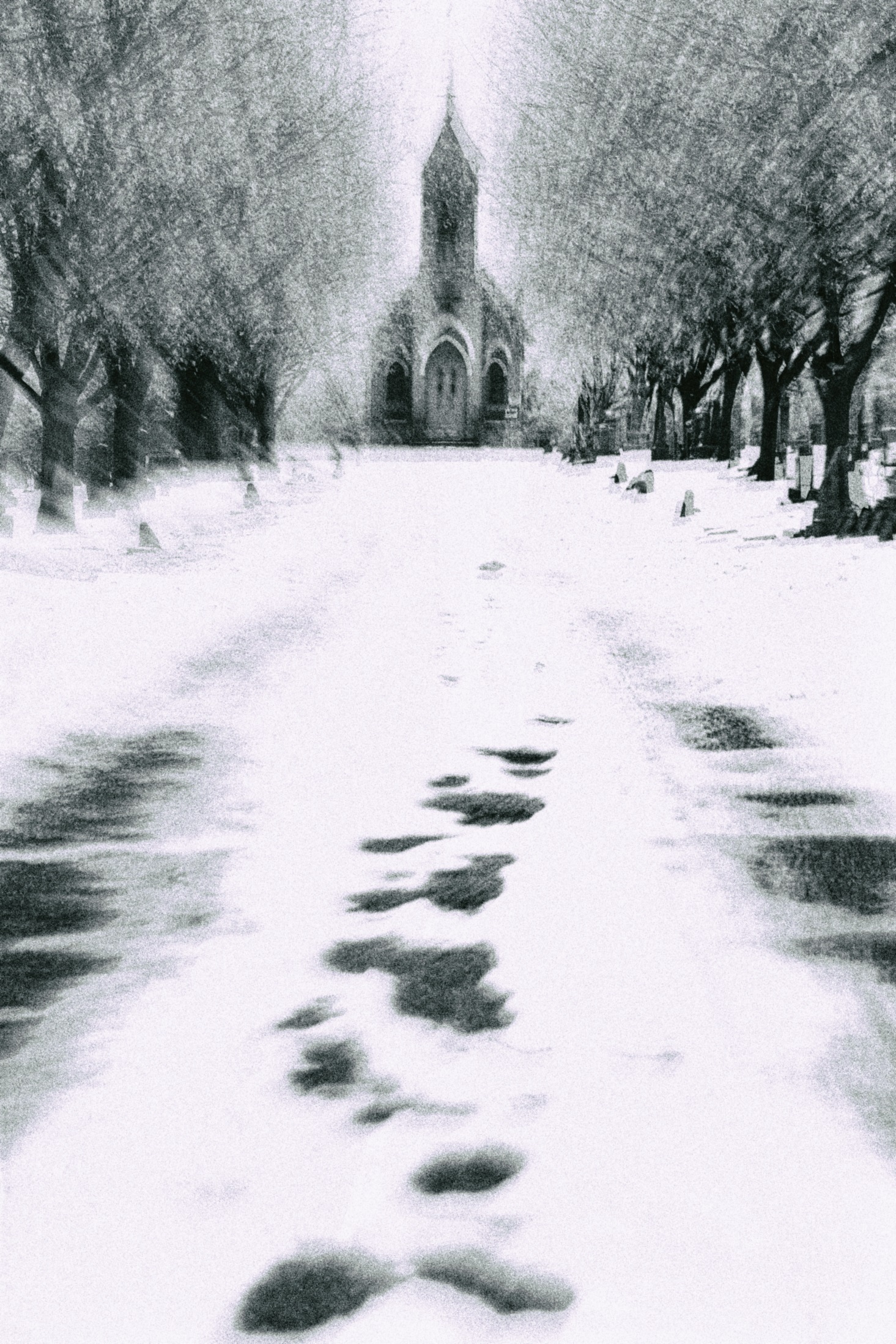 "Trancendence" | Jeff Bucklew | photography