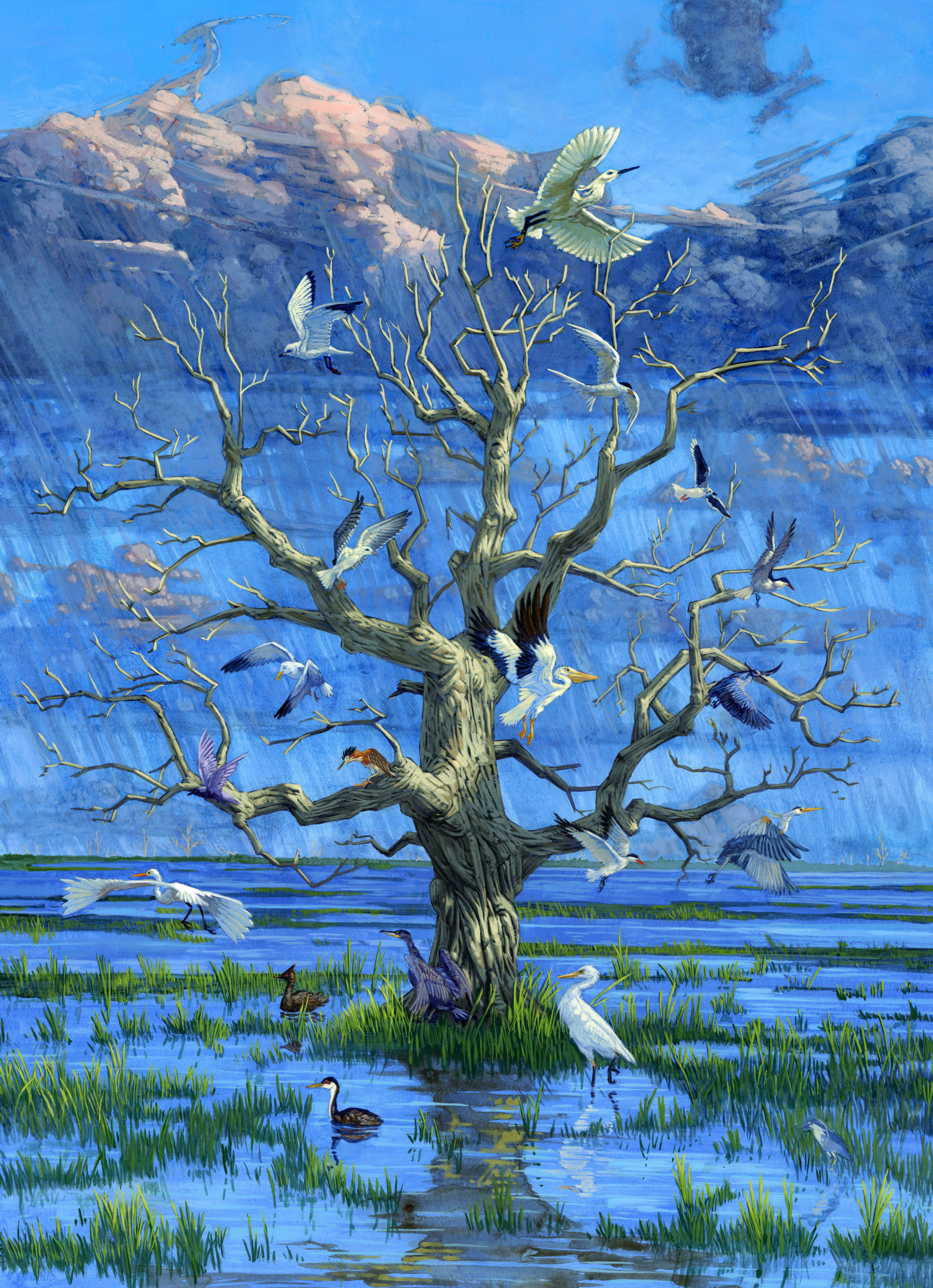 gannon Flood_001
