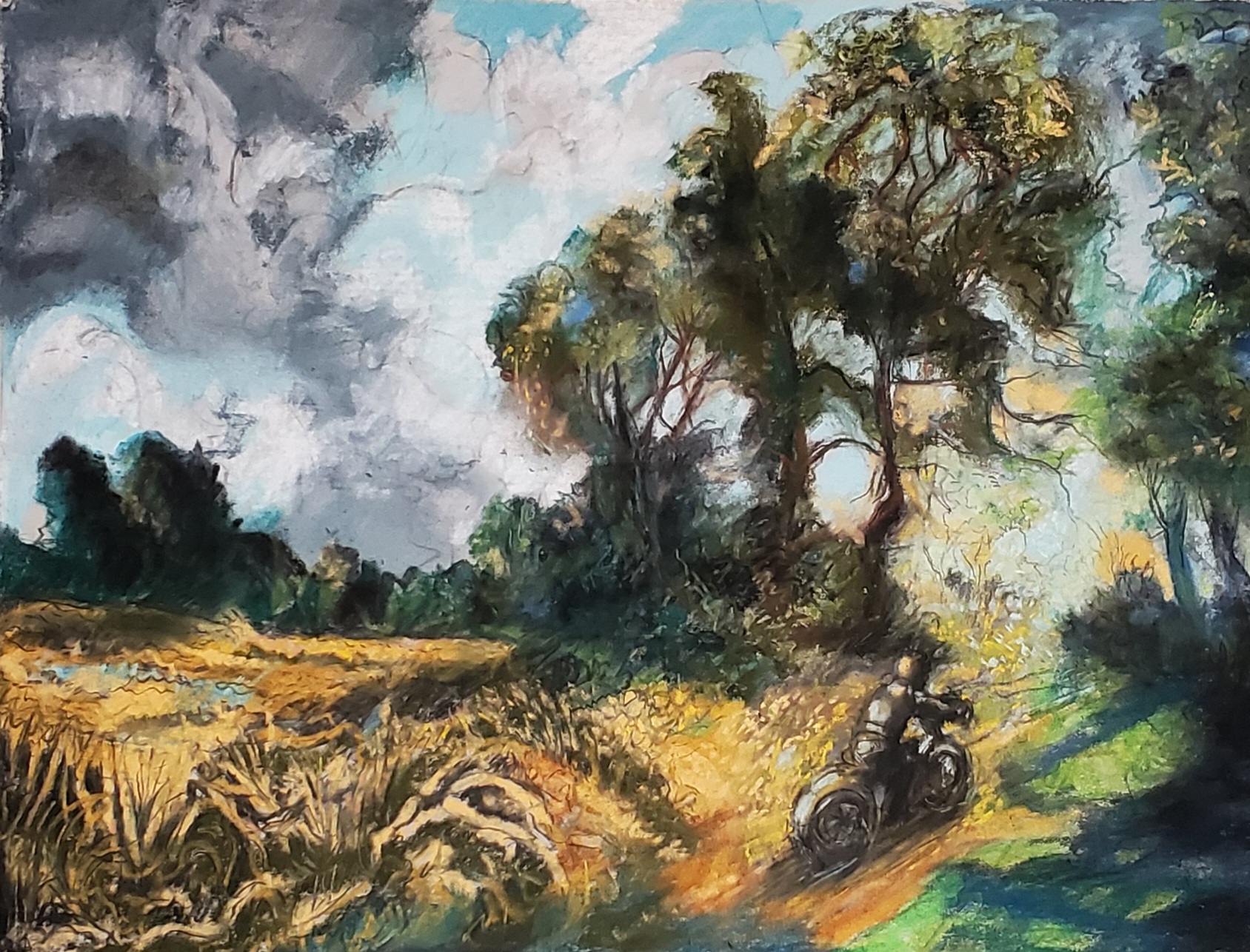 "Motorcyclist" | Anders Shafer