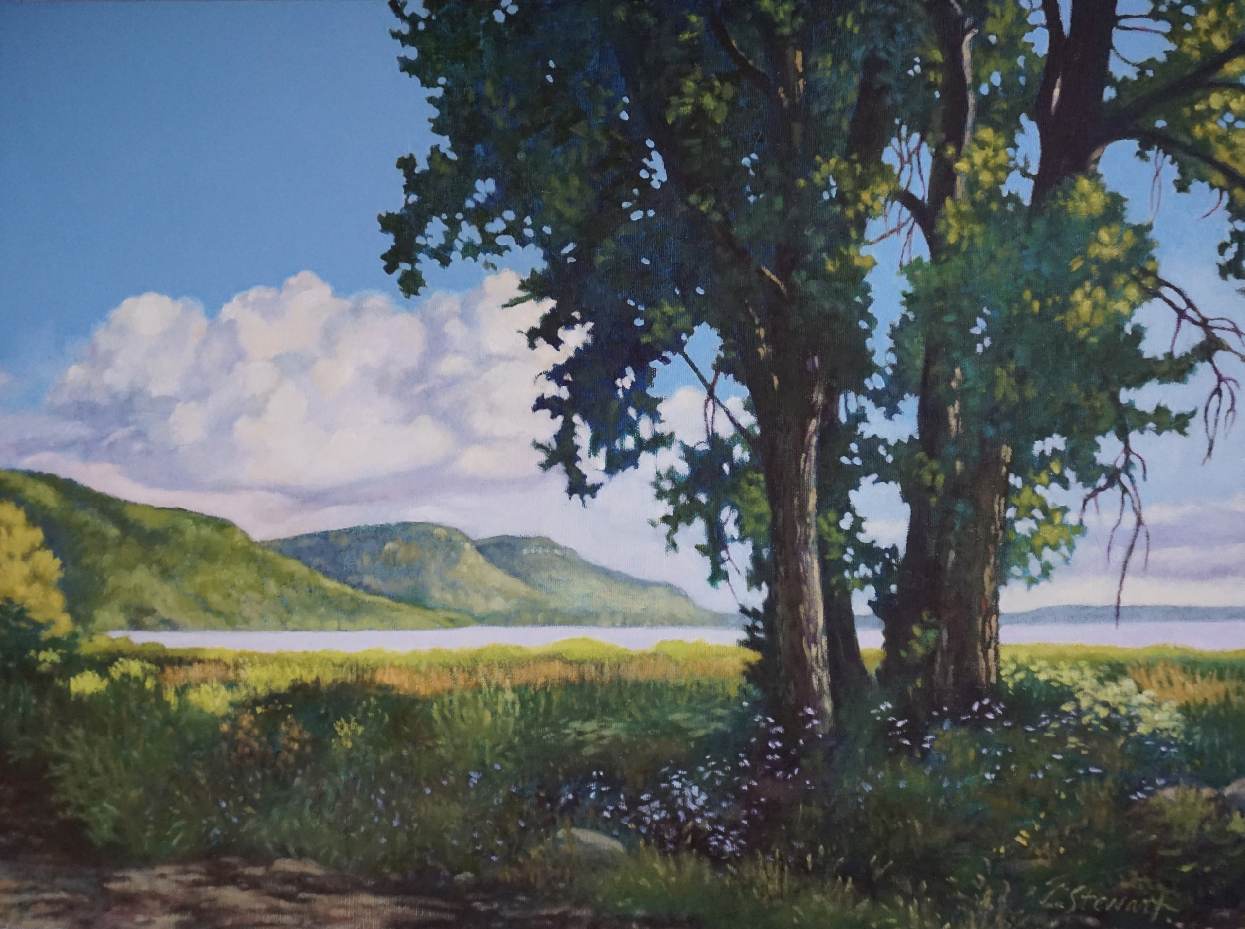 "Summer, Lake Pepin" | Leslie Stewart