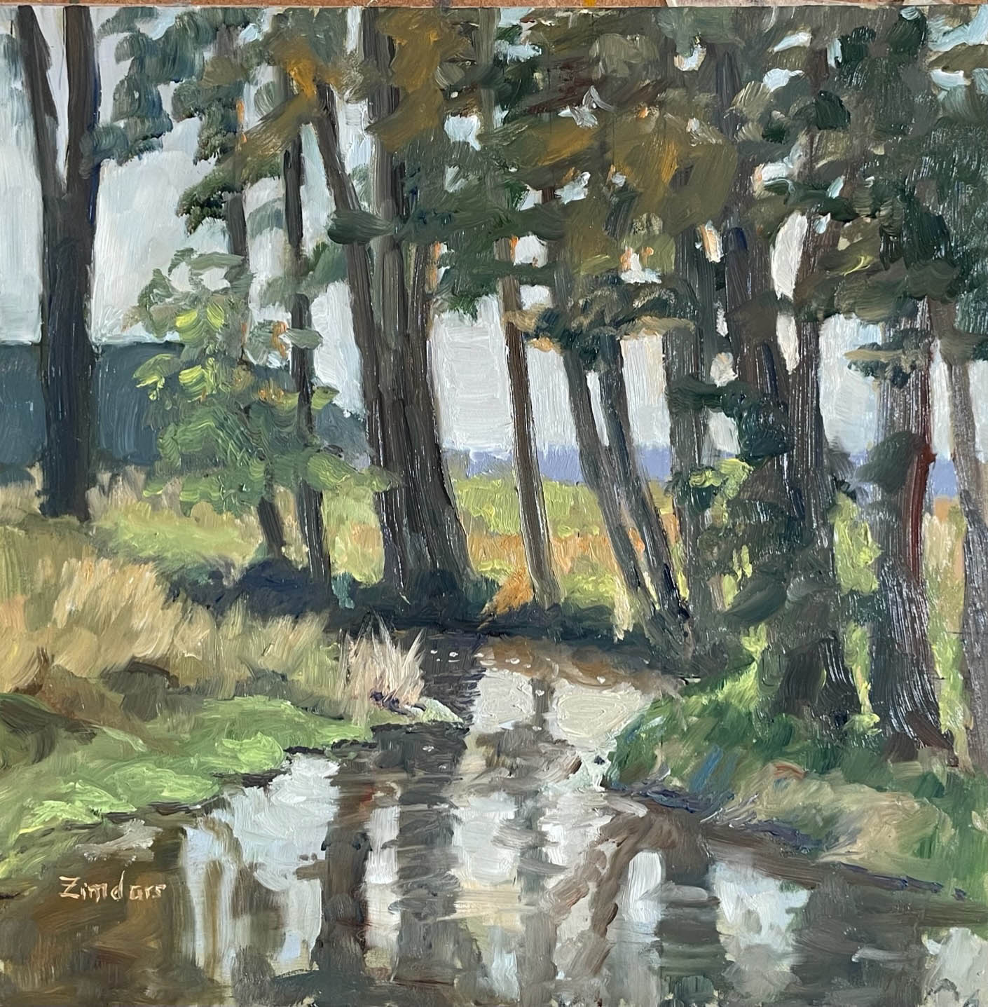 "Black Earth Creek" | Nan Zimdars