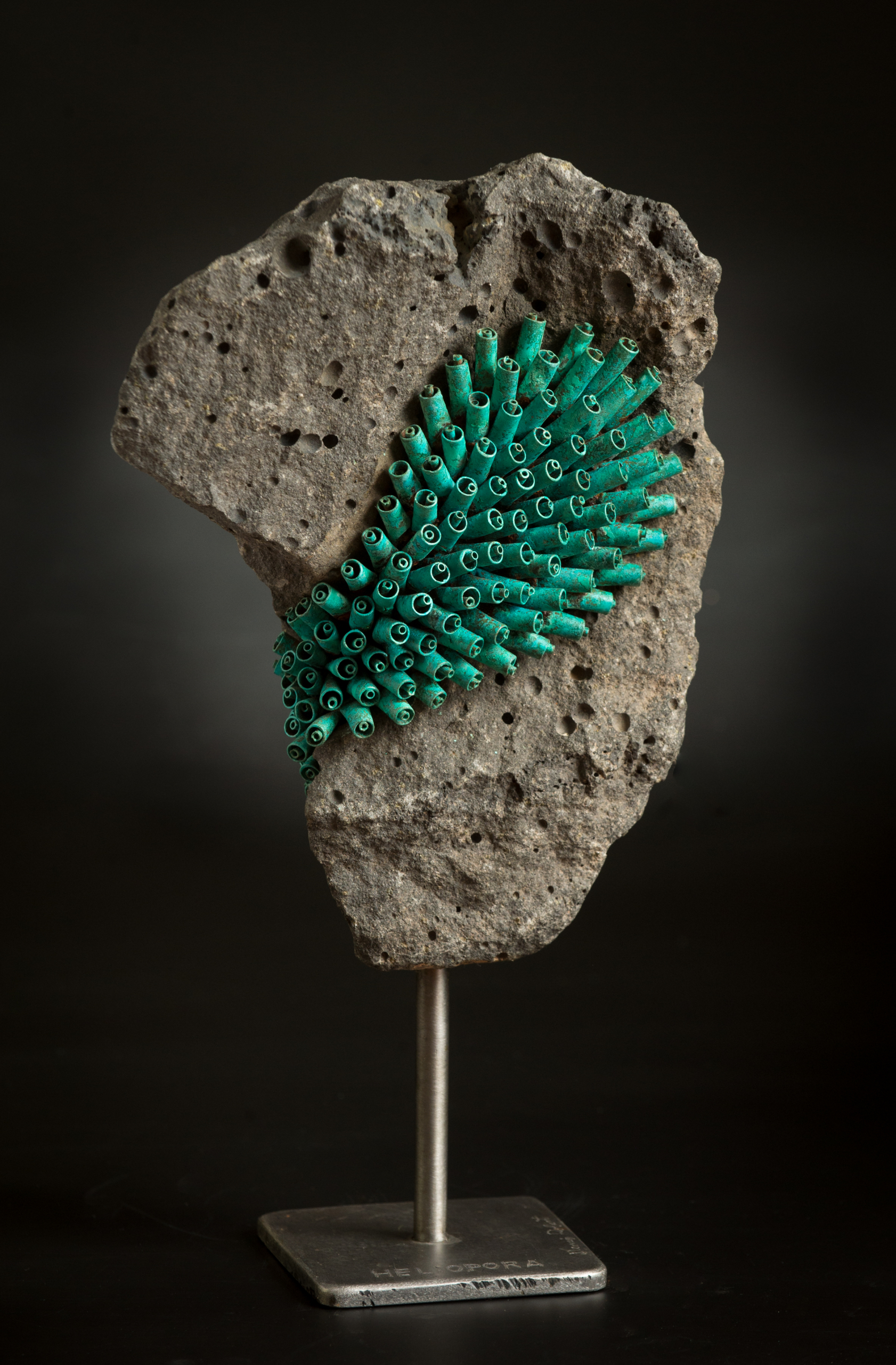 Heliopora