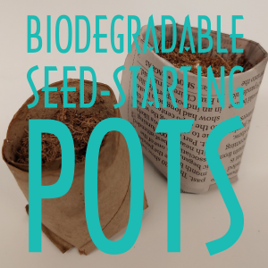 Biodegradable Seed-Starting Pots