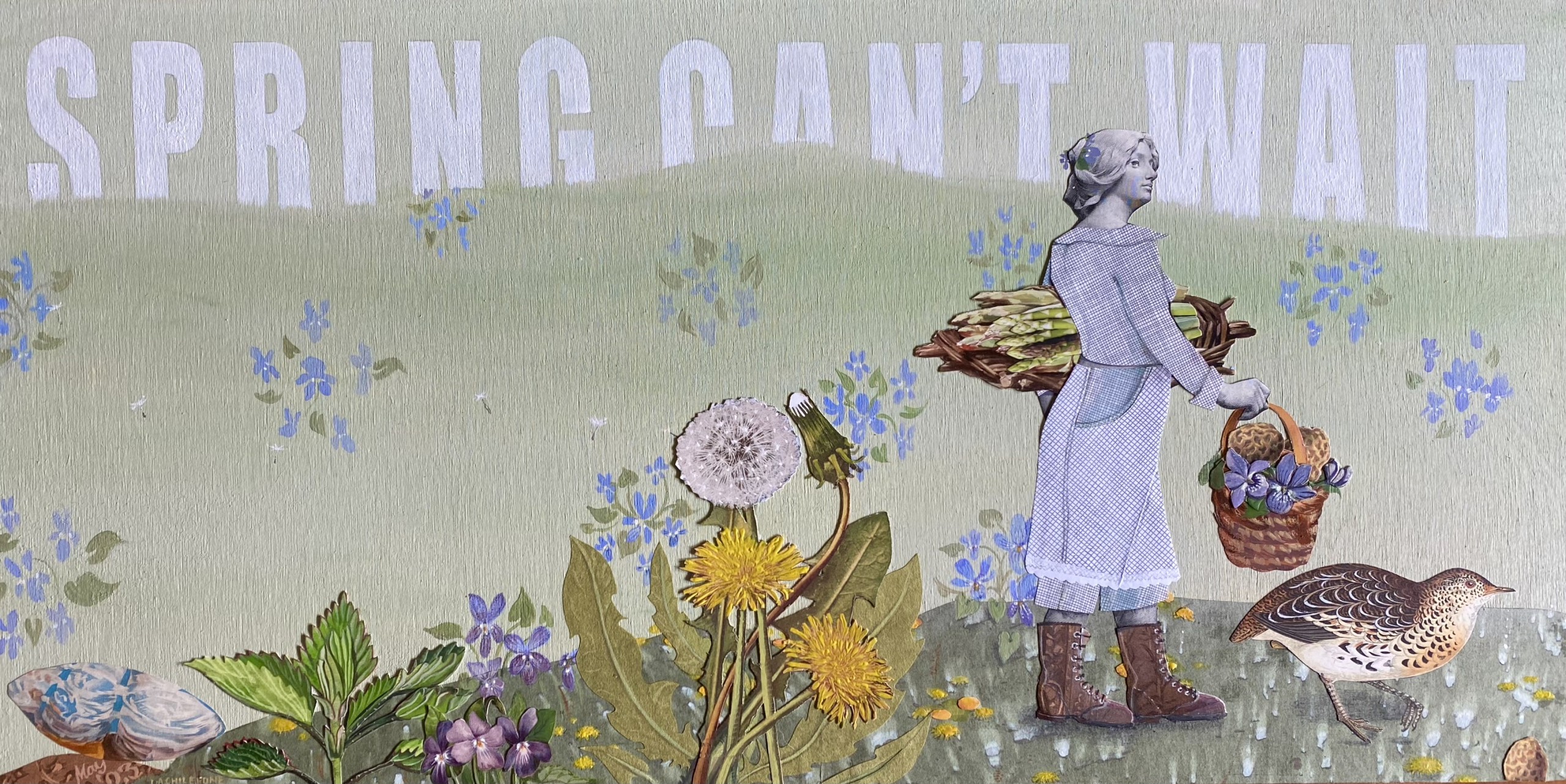 "Spring Can't Wait: Viola Sororia"