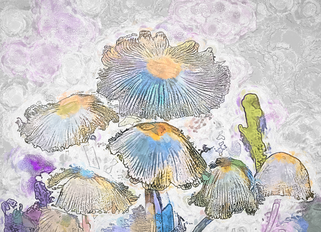 "Schrooms"