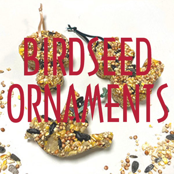 Picture of three handmade birdseed ornaments.