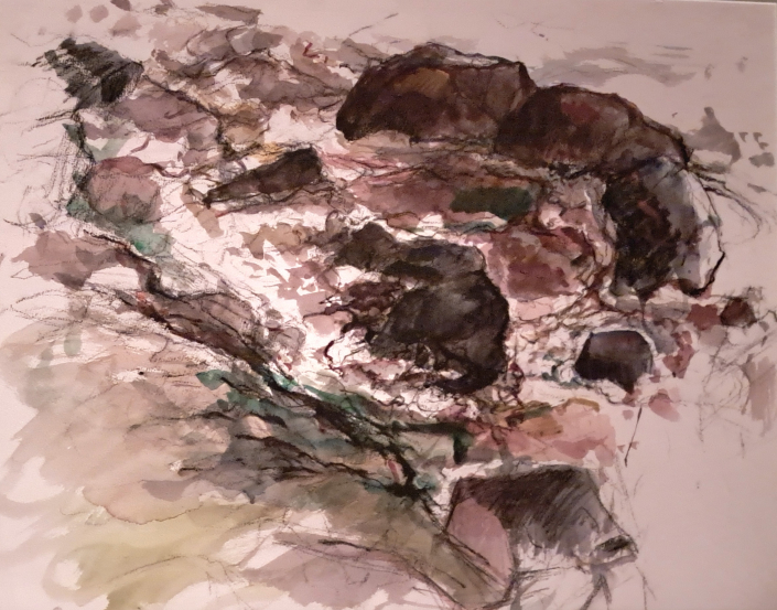 “Jay Cooke, Looking Downstream” | Barbara Shafer | watercolor, charcoal, pencil | NFS "Jay Cooke, Looking Downstream" | Barbara Shafer | watercolor, charcoal, pencil | NFS