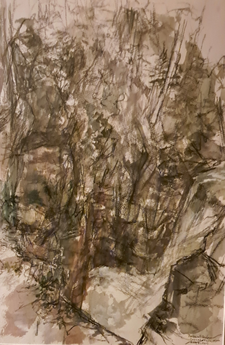 “Cascade Falls, MN, August 5, 2017” | Barbara Shafer | watercolor, charcoal, pencil | $500 "Cascade Falls, MN, August 5, 2017" | Barbara Shafer | watercolor, charcoal, pencil | $500