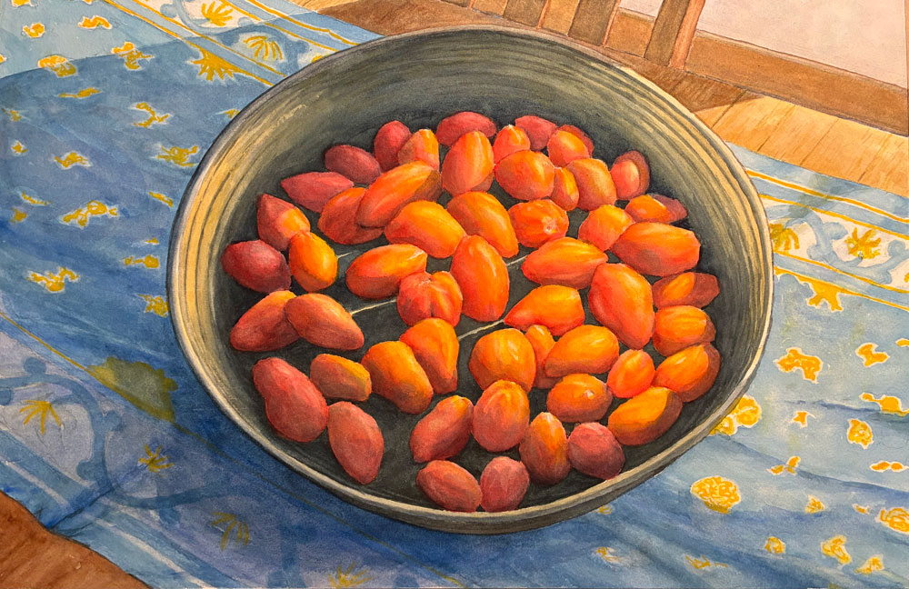 James McKnight | Love Apples II | transparent watercolor | $600