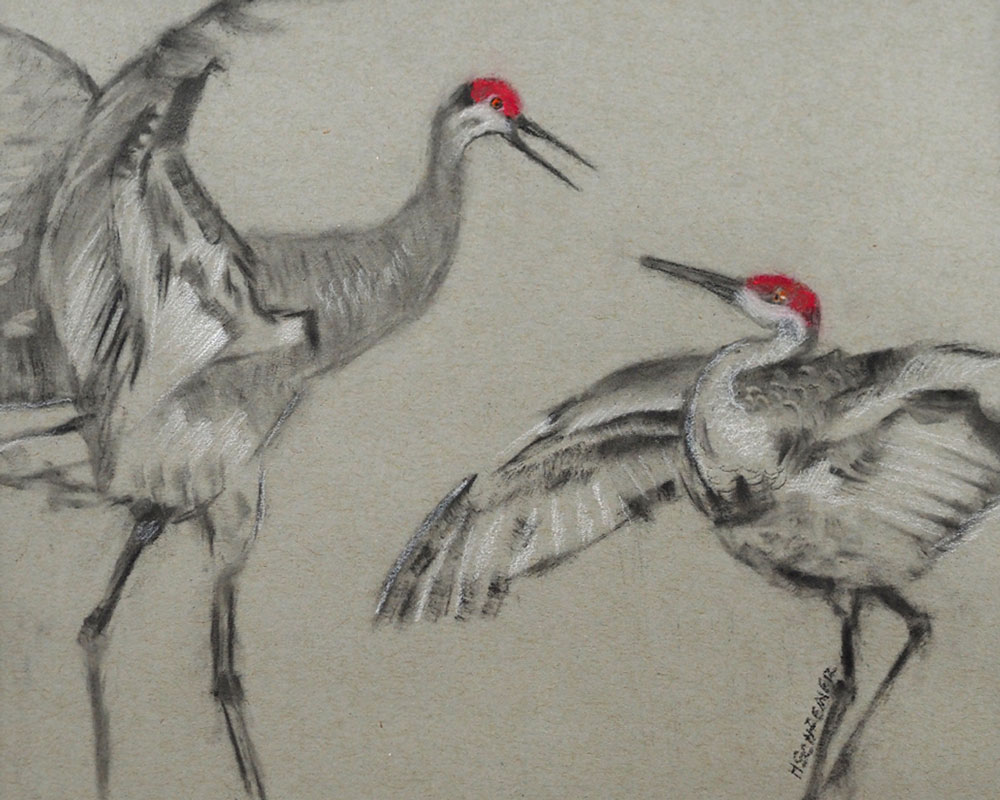Crane Dance | Heidi Schreiner | charcoal and pastel | $260